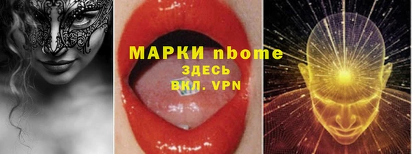 индика Гусиноозёрск