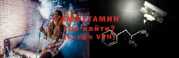 индика Гусиноозёрск