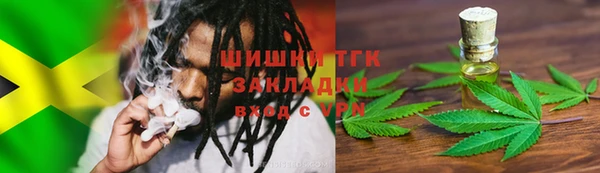 индика Гусиноозёрск