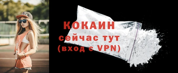 индика Гусиноозёрск