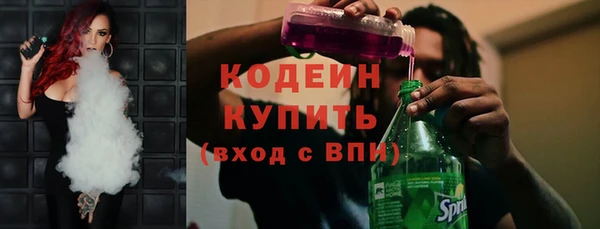 индика Гусиноозёрск