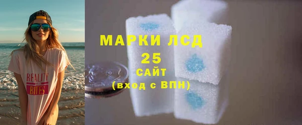 индика Гусиноозёрск