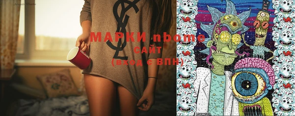 индика Гусиноозёрск