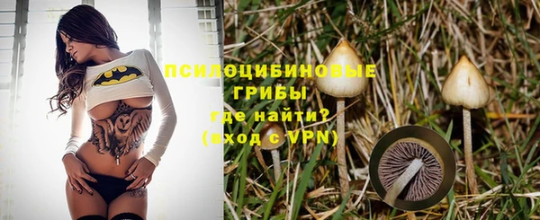 индика Гусиноозёрск