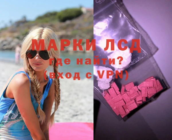 индика Гусиноозёрск