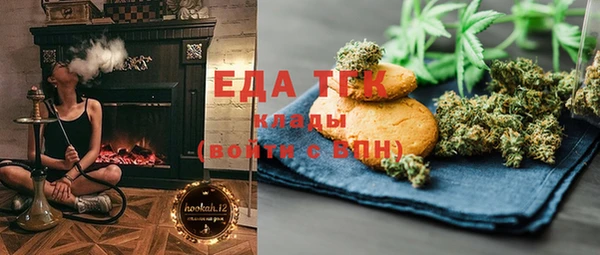 индика Гусиноозёрск
